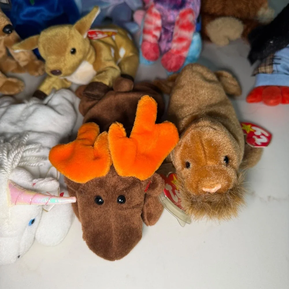Ty Beanie Babies Lot of 10 Paul Walrus Hodge-Podge Issy Mystic Chocolate Moose - Picture 7 of 9